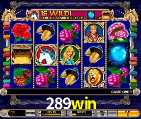 Descubra o Mundo do Cassino Online com 289win